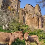 Casa Lale Appartement Corchiano