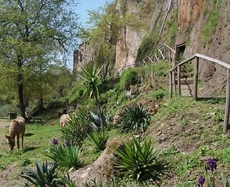 Casa Lale