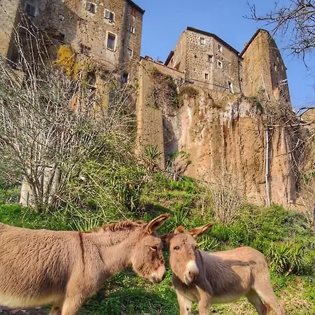 Casa Lale 아파트 Corchiano